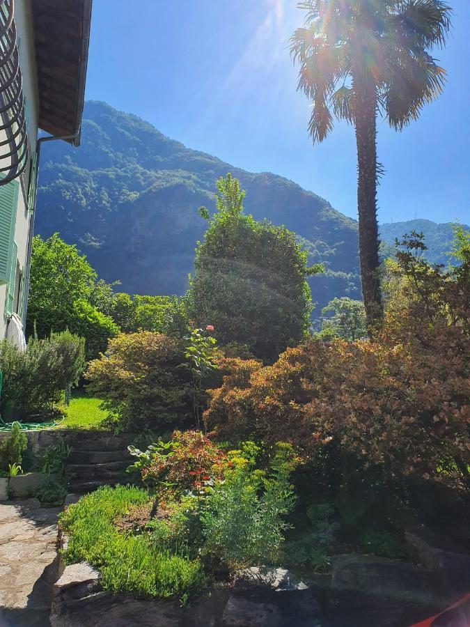 La Pergola Apartment Avegno Екстериор снимка